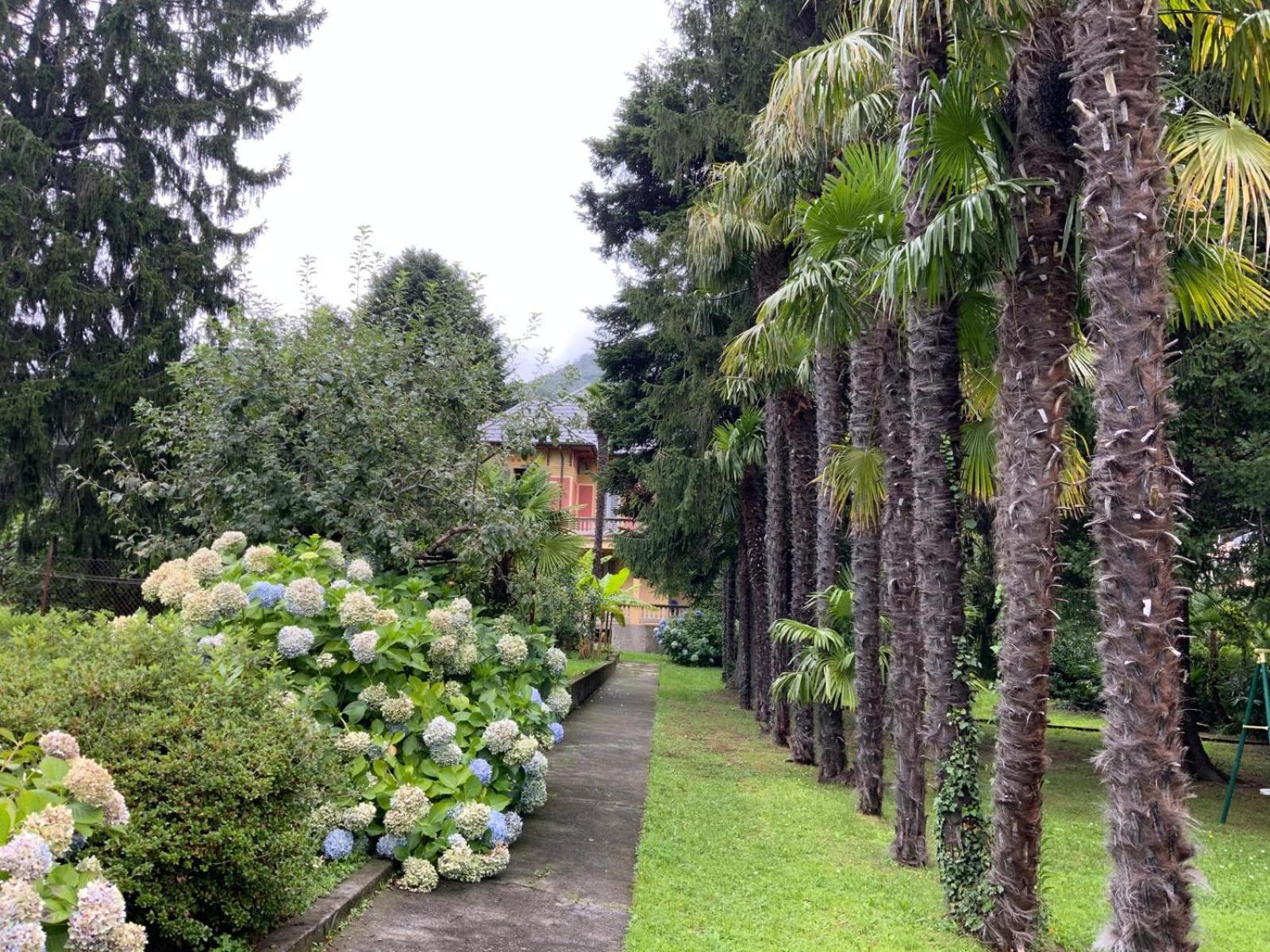 Villa Del Castanar Maccagno Экстерьер фото