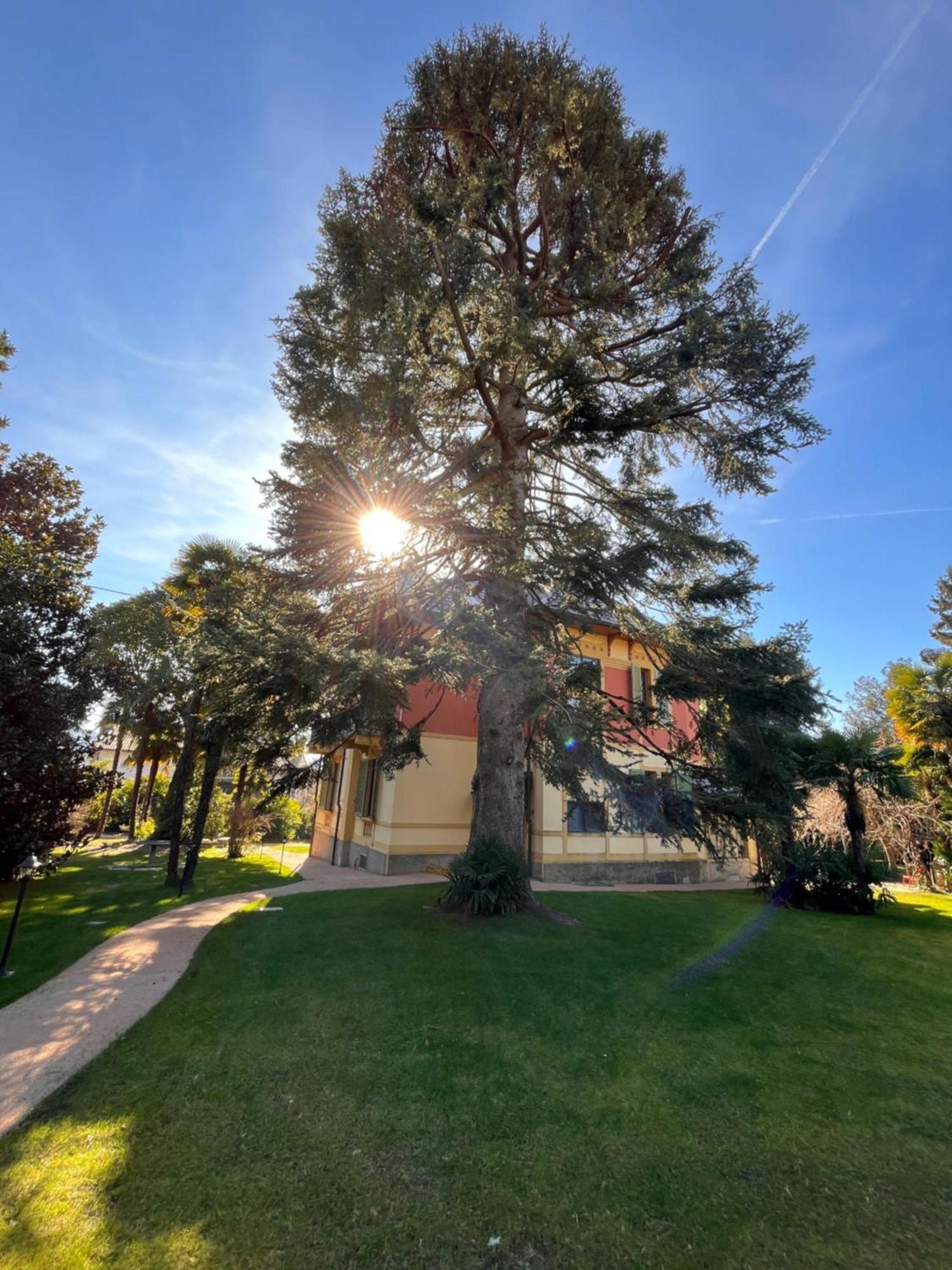Villa Del Castanar Maccagno Экстерьер фото